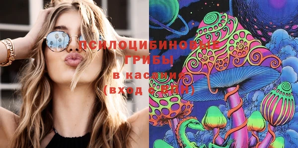 mix Сатка