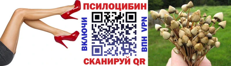 Галлюциногенные грибы GOLDEN TEACHER  Полярные Зори 